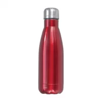 Stainless Steel Sport Bottle