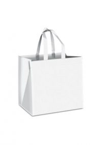 Non Woven Bag