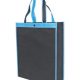 Non Woven Bag