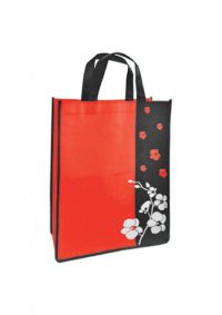 Non Woven Bag