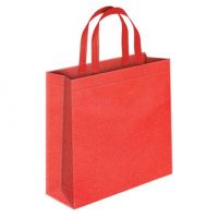 Non Woven Bag