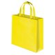 Non Woven Bag