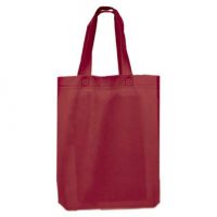 Non Woven Bag