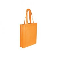 Non Woven Bag