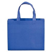 Non Woven Bag