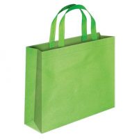 Non Woven Bag