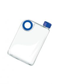 Sport Bottle