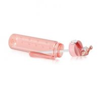 Sport Bottle