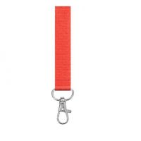 Lanyard