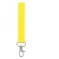 Lanyard