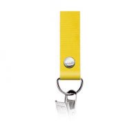 Lanyard