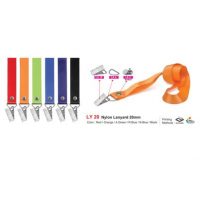 Lanyard