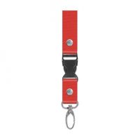 Lanyard