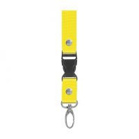 Lanyard