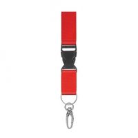 Lanyard
