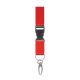 Lanyard
